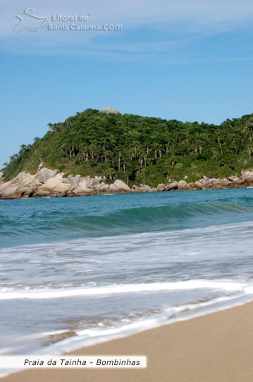 Areias branquinhas, onda se formando e um morro maravilhoso ao fundo na Praia da Tainha em Bombinhas.