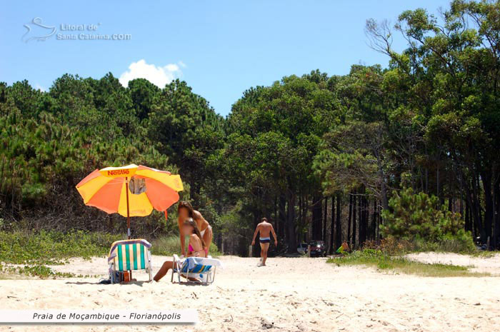 Pessoas em baixo do guarda sol na praia moçambique