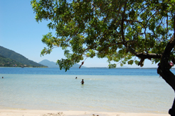 pessoas mergulhando na lagoa da conceição sc