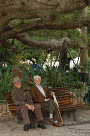 dois senhores sentados em baixo da figueira