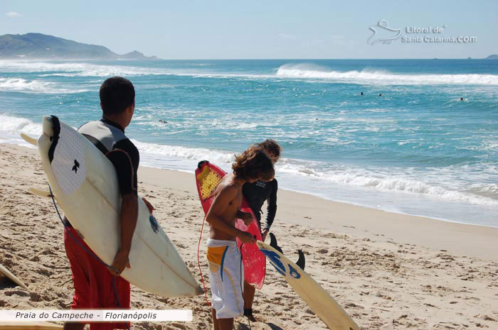 Galera indo fazer um surf na praia do campeche