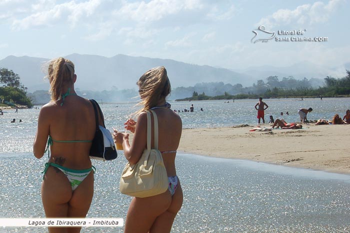 Gatas passeando de biquini na praia