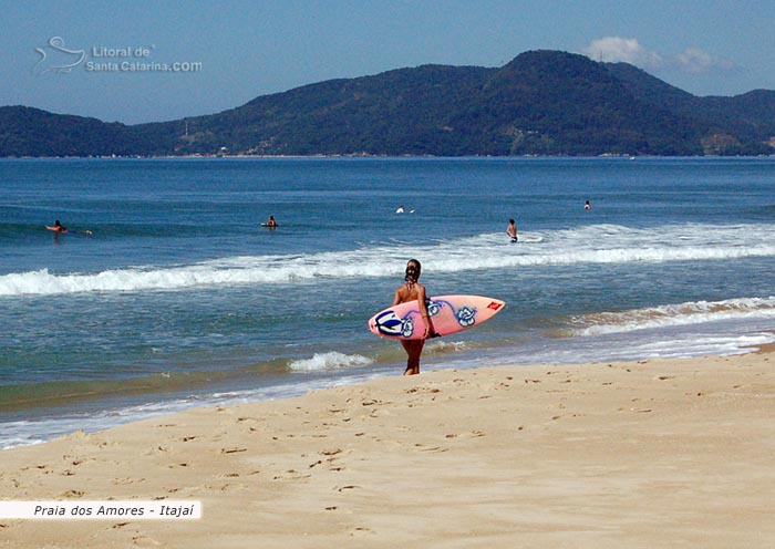 gata indo fazer um surf na praia dos amores em itajai, santa catarina, brasil