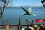 Restaurantes com vista para o mar de santo antônio de lisboa, floripa