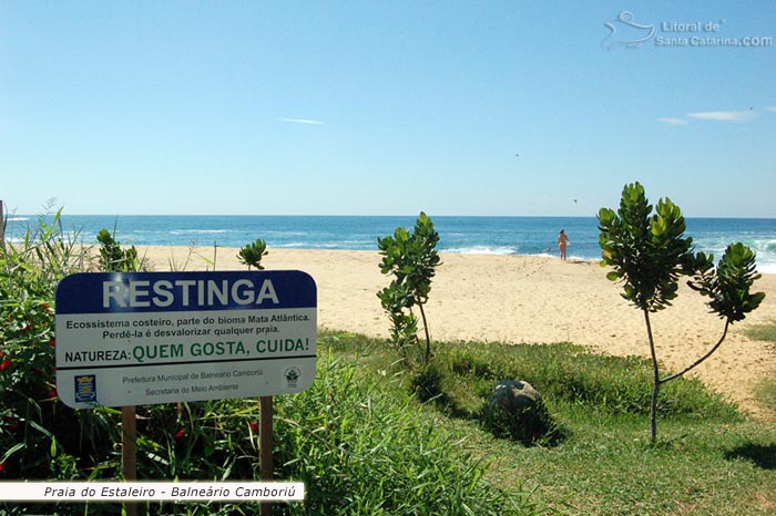 Restinga, areia limpinha e mar azul da praia do estaleiro em Balneário Camboriú.