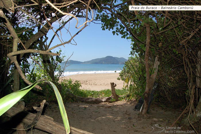 Mata ainda preservada e a fundo a praia do buraco em Balneário Camboriú.