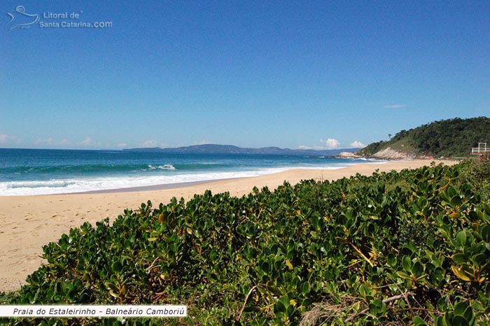 Praia do estaleirinho em Balneário Camboriú, restinga preservada e um azul do mar maravilhoso.