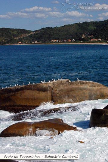 Vista das pedras da praia de taquarinhas em Balneário Camboriú.