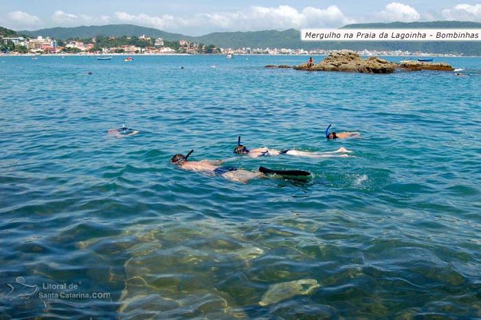 Mergulho livre na Praia da Lagoinha