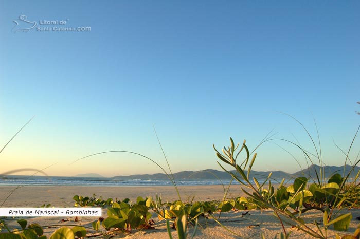 Praia de Mariscal, natureza intacta.