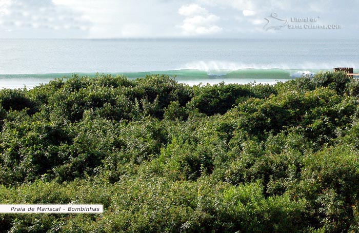 Praia de Mariscal em Bombinhas, Restinga preservada e ondas perfeitas para a prática de surf.