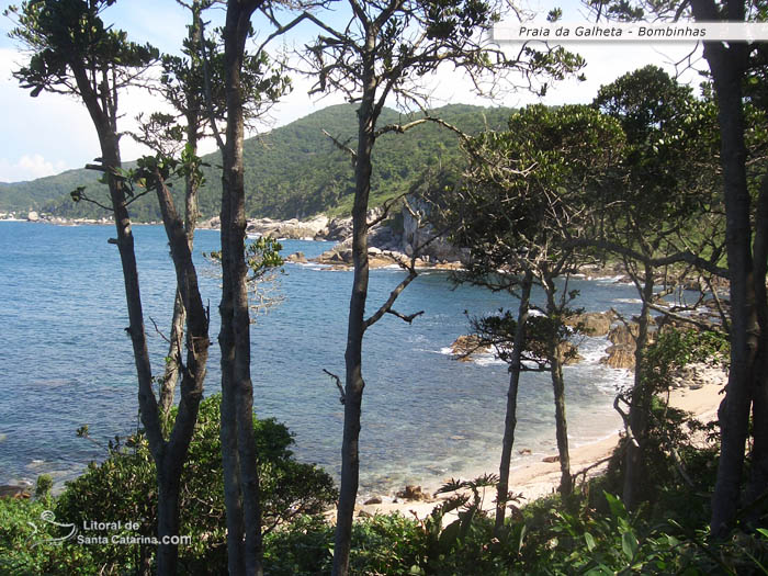 Praia da Galheta - Bombinhas