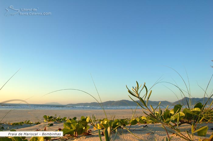 Areia branquinha, restinga preservada, mar calmo e água transparente, é assim a Praia de Mariscal em Bombinhas.