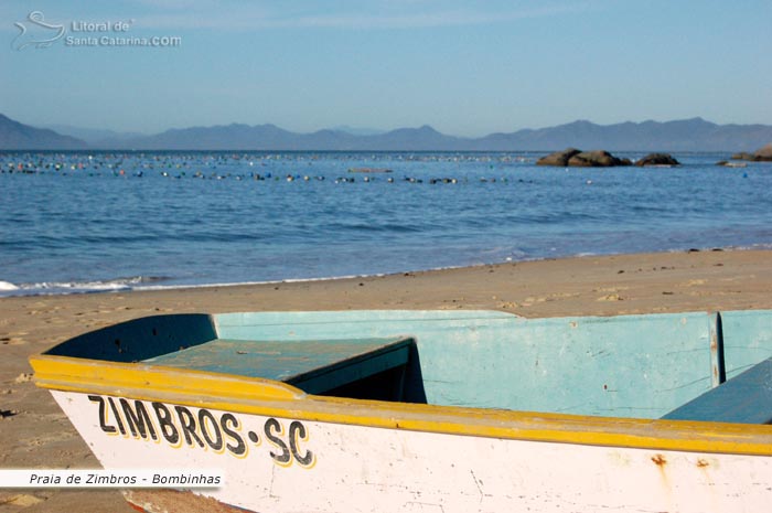 Cultivo de Marisco na Praia de Zimbros em bombinhas.