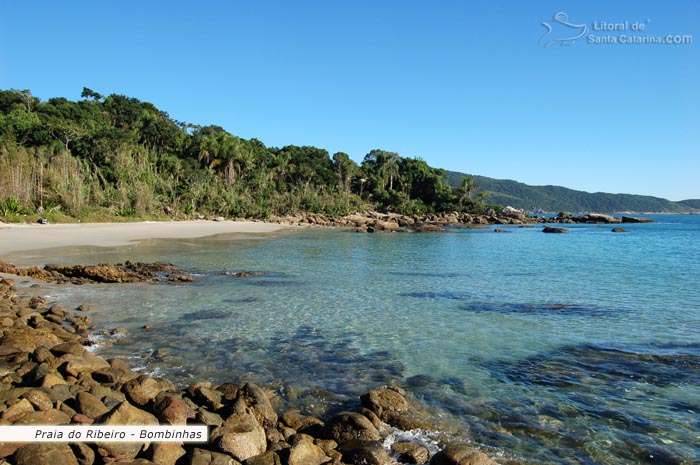 águas transparentes da Praia do Ribeiro em Bombinhas e ao fundo uma Mata ainda virgem.