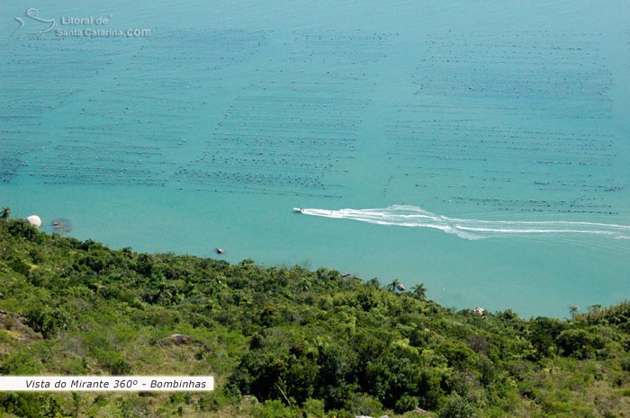 Vista para um mar azul cristalino