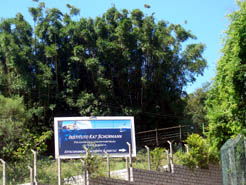 Instituto Kat Schürmann  em Bombinhas.