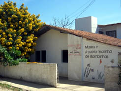 Museu e Aquário Marinho do CEMAR (Centro de Estudos do Mar) em Bombinhas.