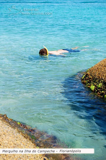 Mergulho na ilha do campeche, santa catarina, brasil