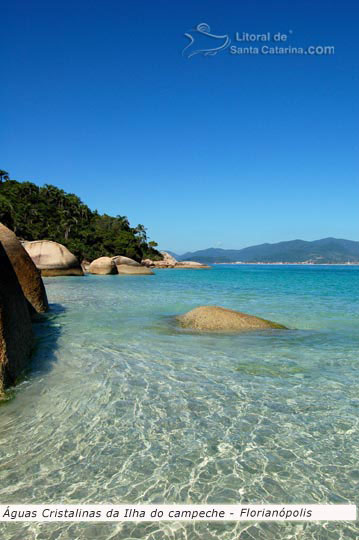 águas cristalinas da ilha do campeche em Florianópolis