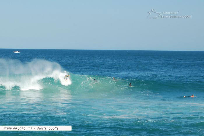 Surf na praia da joaquina em floripa