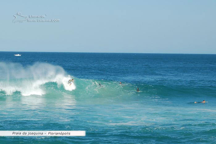 Surf Joaquina