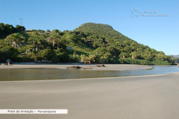 praia da armação floripa