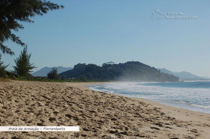 praia da armação, areia branquinha e mar tranquilo, ótima para famílias aproveitarem deste paraíso catarinense