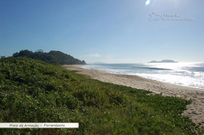 vista praia da armação, restinga preservada, mar lindo e uma das melhores praia de santa catarina