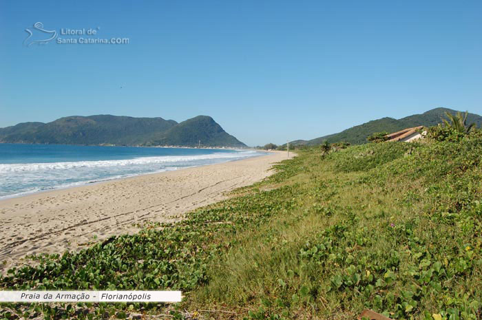 foto linda da praia da armação floripa