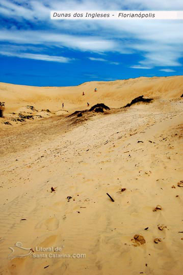 Dunas