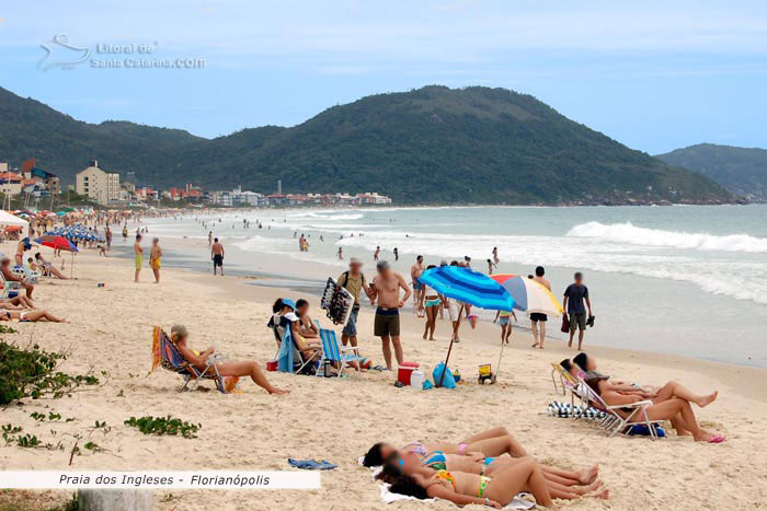 Foto Gatas Tomando Sol Na Praia De Biquini Florianópolis Sc