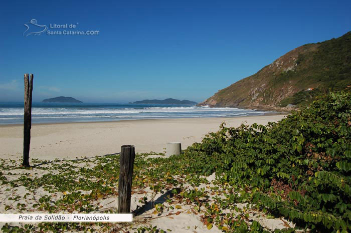 praia da solidão, restinga preservada, e mar azul de sc