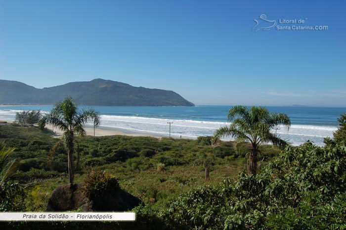 vista do canto esquerdo da praia da solidao, mata preservada