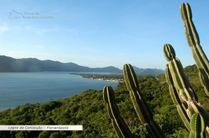 Vista Lagoa da Conceição