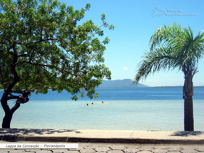 Pessoas mergulhando na lagoa da conceição