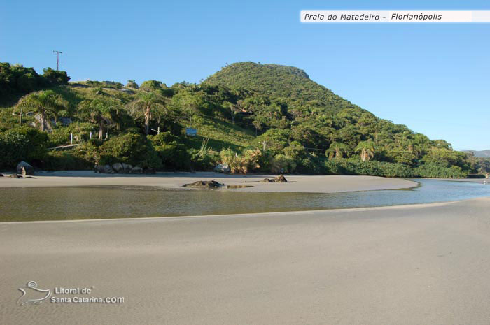 riozinho da praia do matadeiro florianopolis