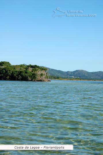 costa da lagoa, águas transparentes e ao fundo um morro lindo