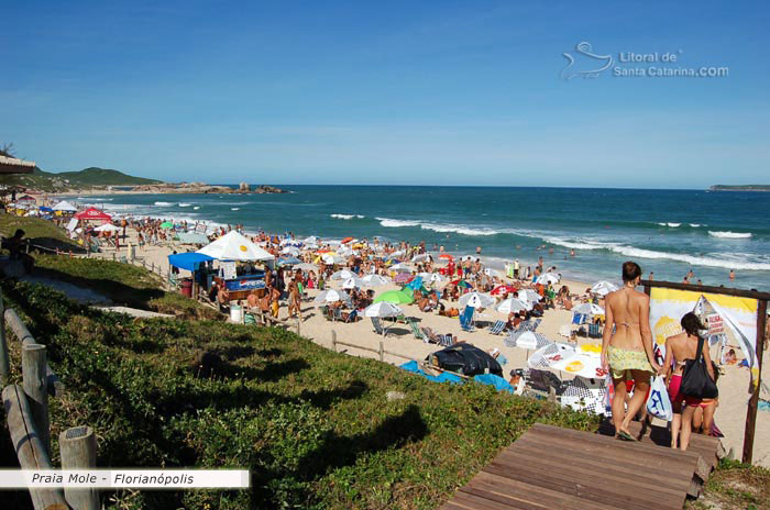 Foto Gatas Da Praia Mole Indo Tomar Um Sol Florianópolis Sc