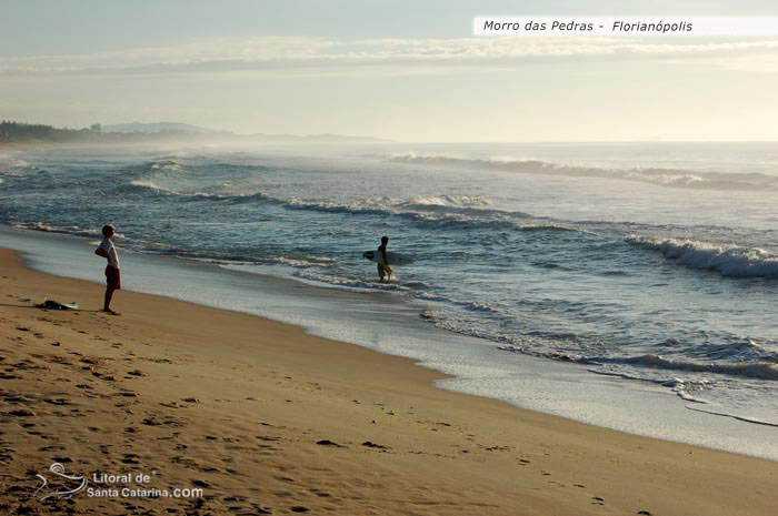 nascer do sol lindo na praia do morro das pedras em floripa, e altos gatos indo fazer um surf no litoral sc