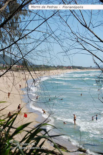 famílias brincando no mar limpinho do morro das pedras