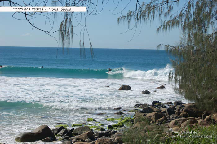 surf morro das pedras floripa