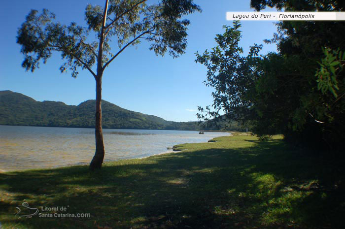 margens da lagoa do peri santa catarina