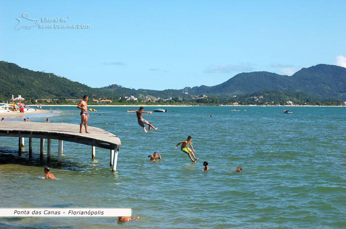 crianças pulando e brincando no mar calmo da praia da ponta das canas de floripa