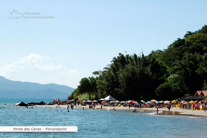 mar tranquilo e um morro lindo na praia da ponta das canas florianopolis santa catarina brasil