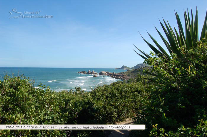 praia da galheta, florianopolis