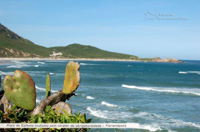 Vista da praia da galheta sc, nudismo em santa catarina