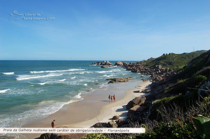 Galheta, vista da praia e mata atlântica