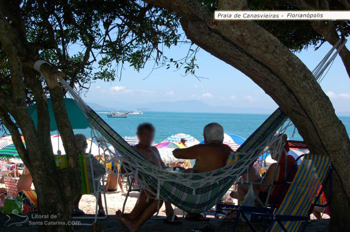 Pessoas descansando de baixo da árvore na praia de canasvieiras - brasil