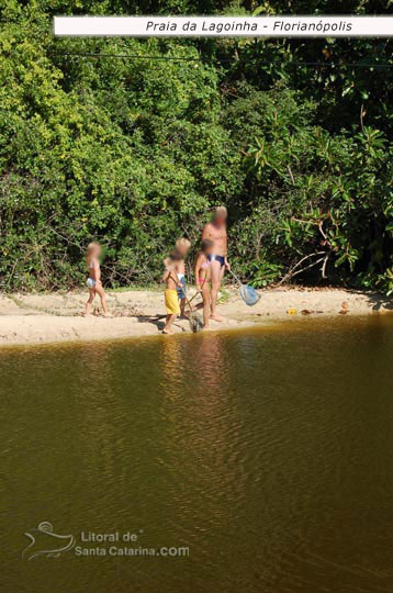 pai e filhos brincando de pegar peixinhos no riozinho da praia da lagoinha